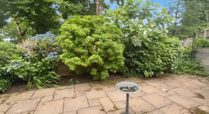 Garden- click for photo gallery